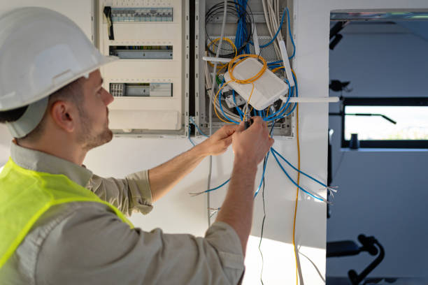 Best Licensed Electrician  in Naples, UT